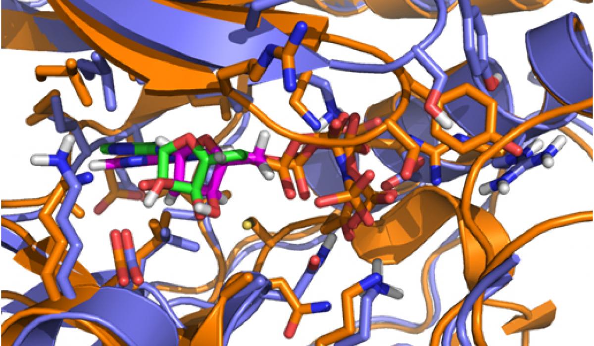 PfMAP2 crystal structure model.jpg