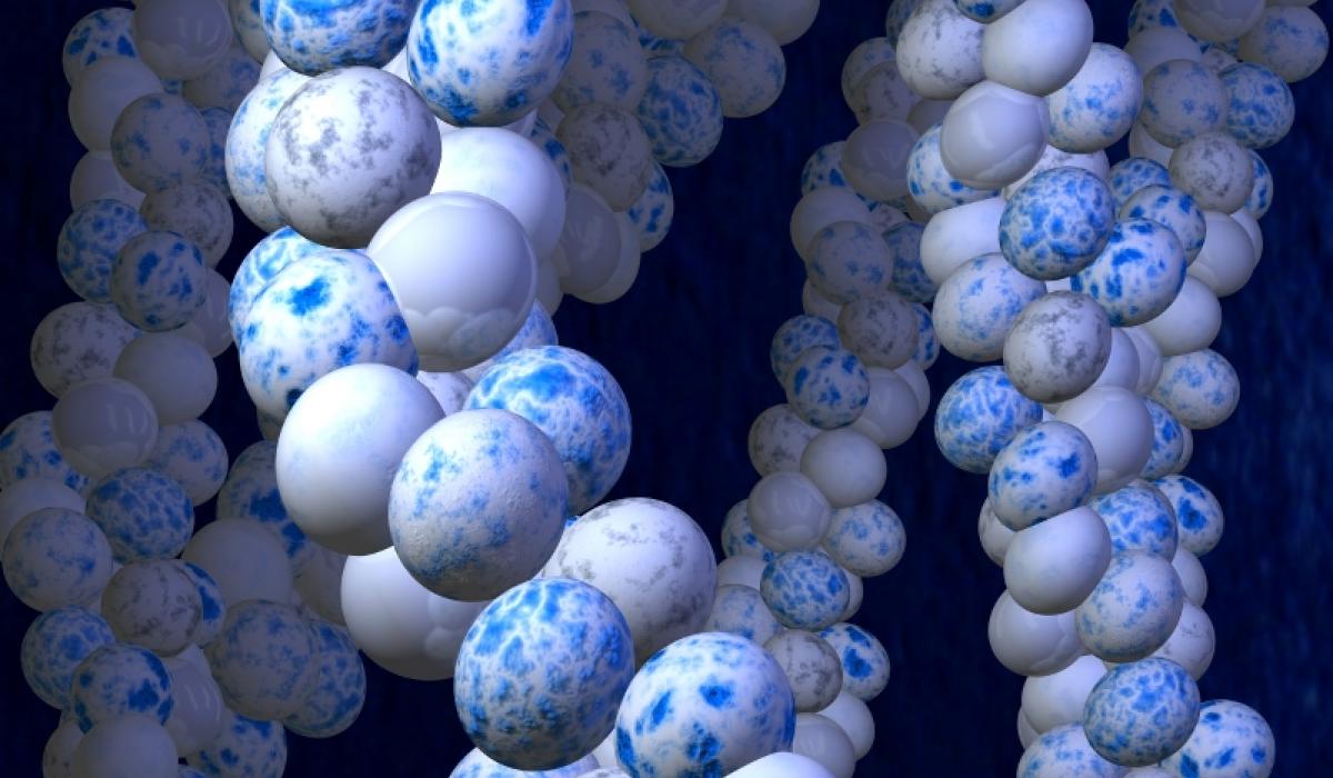 Molecule Cluster Molecule Cluster