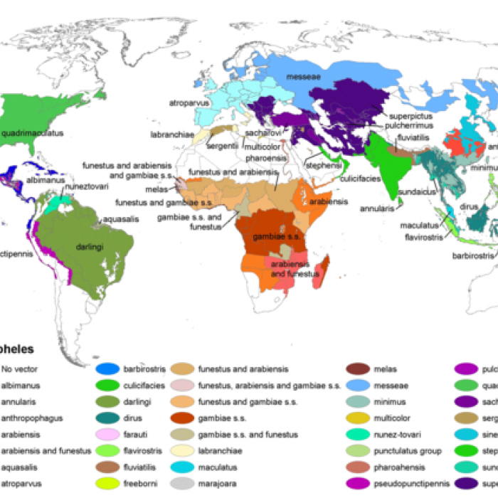 Who is at risk of Malaria, where in the world is malaria, annual malaria deaths worldwide, who dies from malaria, impact of malaria in Africa, 